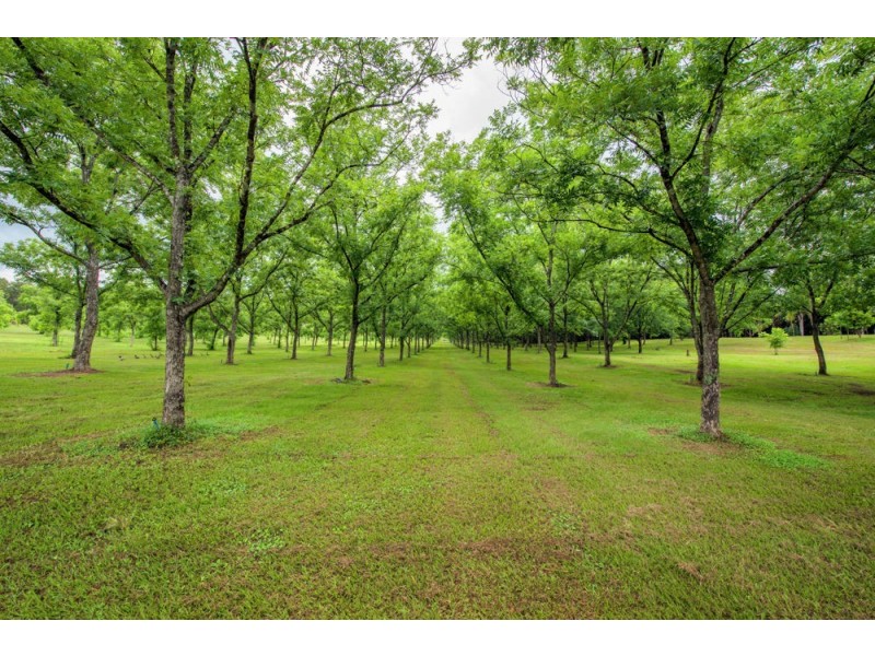 370 Orara Road, Lanitza NSW 2460