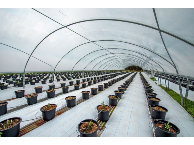 370 Orara Road, Lanitza NSW 2460