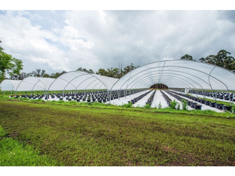 370 Orara Road, Lanitza NSW 2460