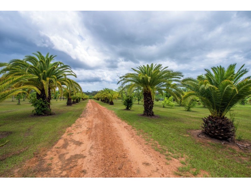 370 Orara Road, Lanitza NSW 2460