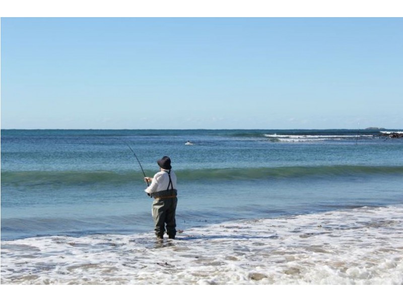 75a Arrawarra Road, Arrawarra NSW 2456