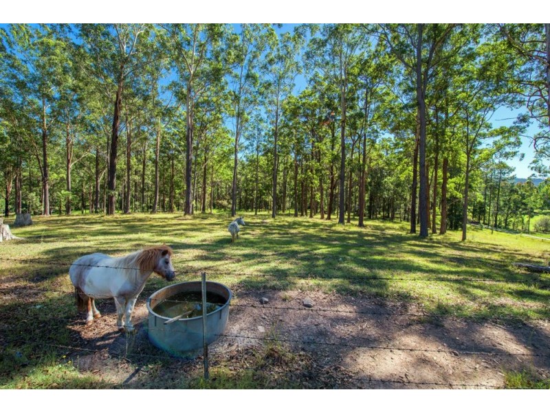 21 Gillards Road, Bucca NSW 2450