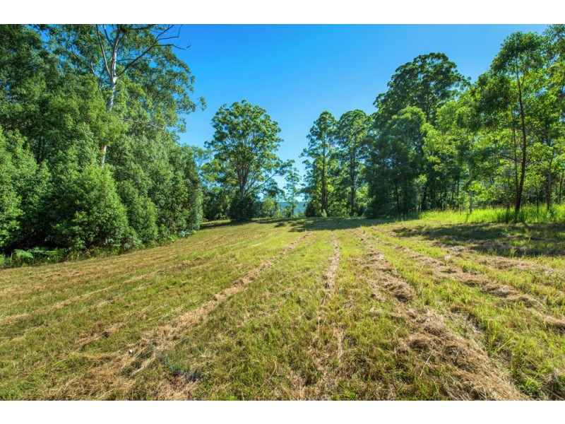 21 Gillards Road, Bucca NSW 2450