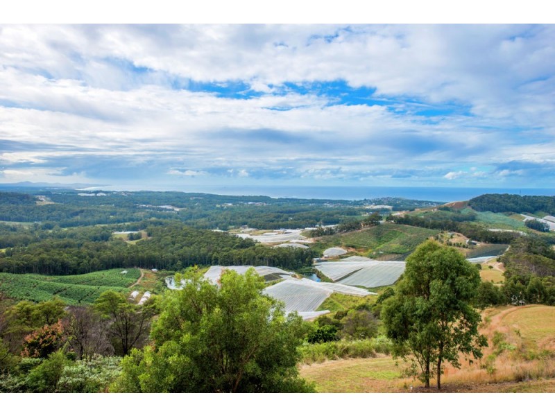 Lot 1, 299 Morgans Road, Woolgoolga NSW 2456