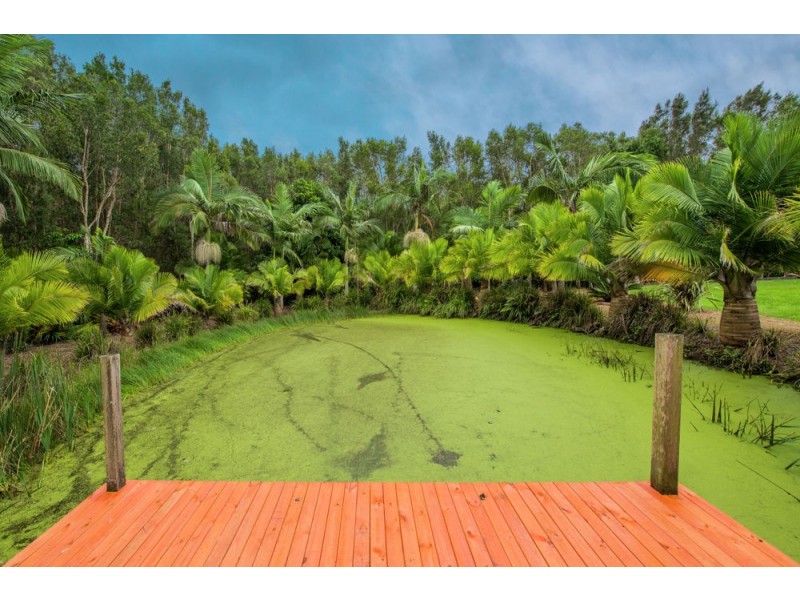 104 Diamond Head Drive, Sandy Beach NSW 2456