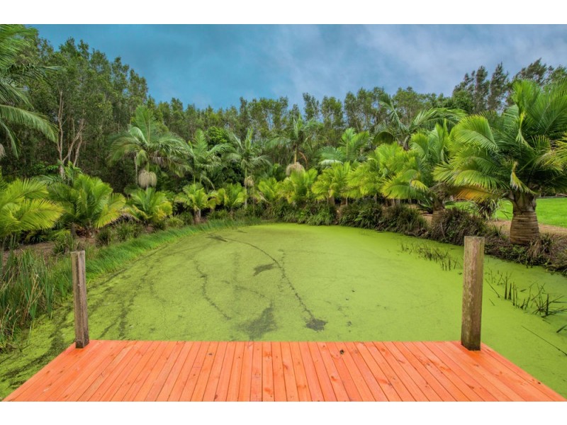 104 Diamond Head Drive, Sandy Beach NSW 2456