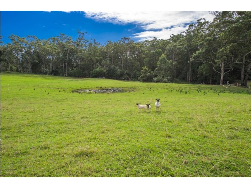 58 Holloways Road, Sandy Beach NSW 2456