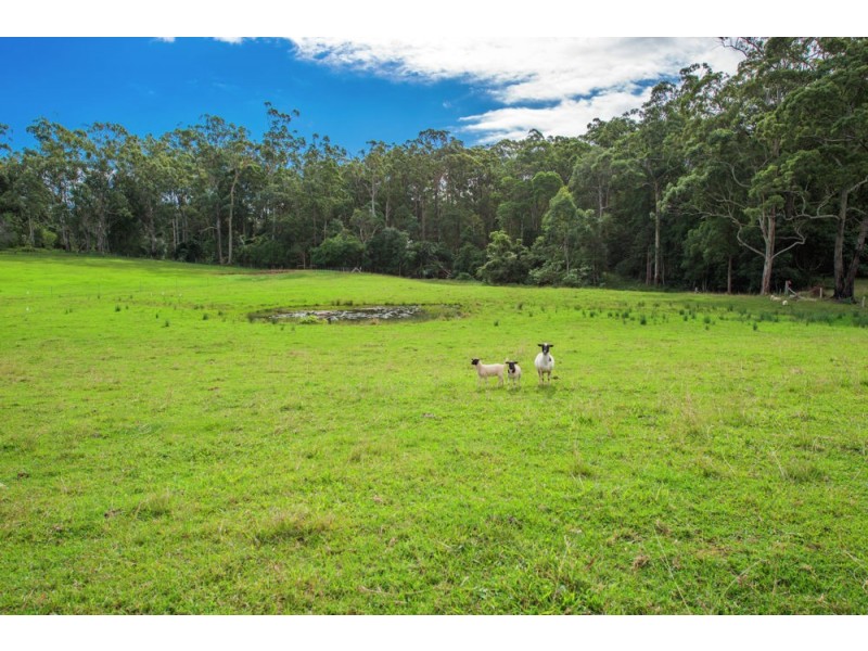 58 Holloways Road, Sandy Beach NSW 2456