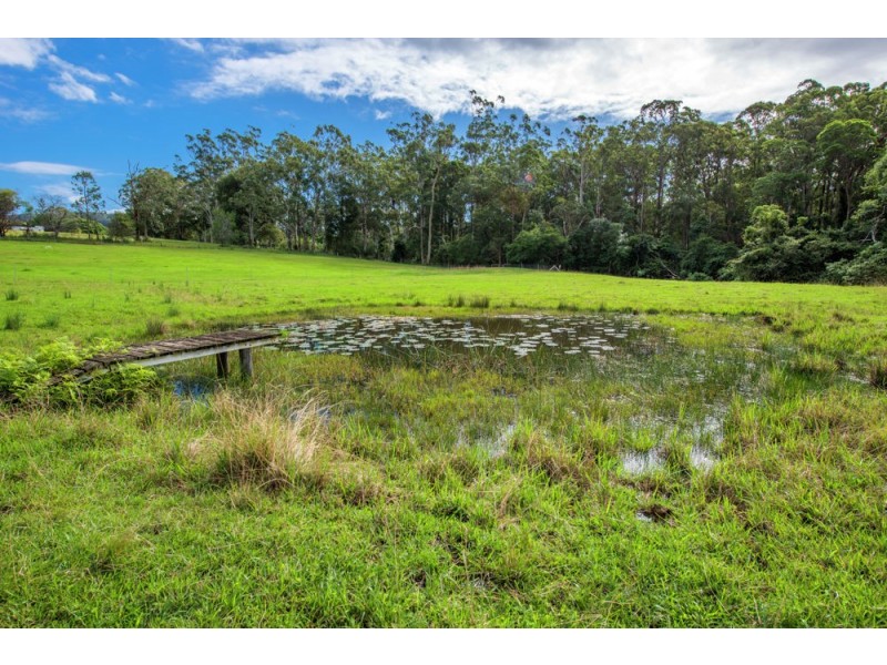 58 Holloways Road, Sandy Beach NSW 2456