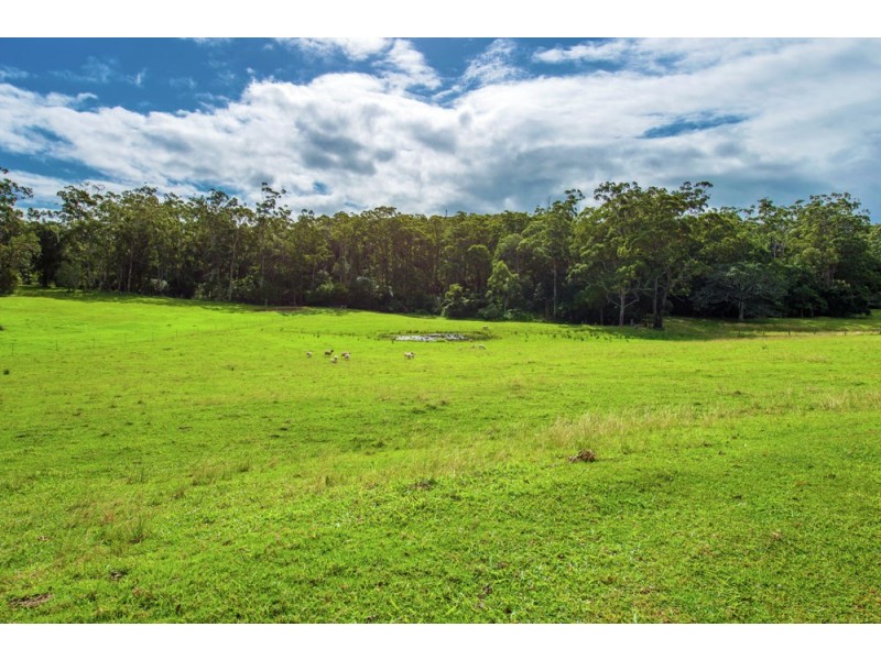 58 Holloways Road, Sandy Beach NSW 2456