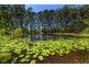 25 Greys Road, Woolgoolga NSW 2456