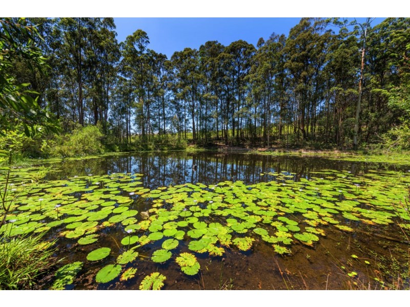 25 Greys Road, Woolgoolga NSW 2456