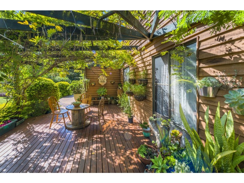22 Gresham Drive, Woolgoolga NSW 2456