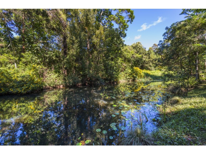 22 Gresham Drive, Woolgoolga NSW 2456