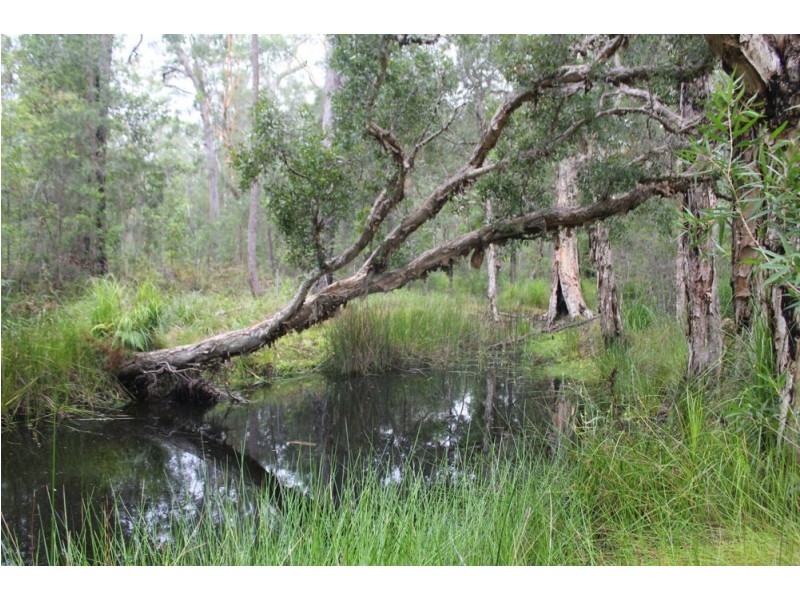 Lot 2, 99 Barcoongere Way, Barcoongere NSW 2460