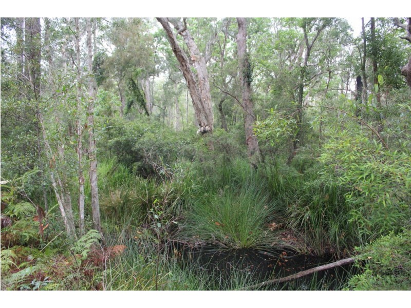 Lot 2, 99 Barcoongere Way, Barcoongere NSW 2460