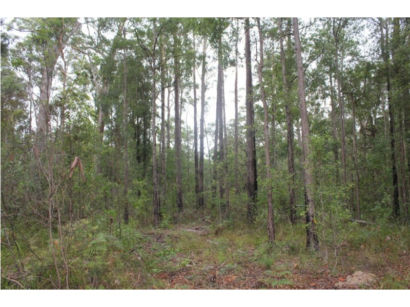 Lot 2, 99 Barcoongere Way, Barcoongere NSW 2460