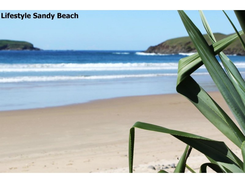 15 Surfsea Avenue, Sandy Beach NSW 2456