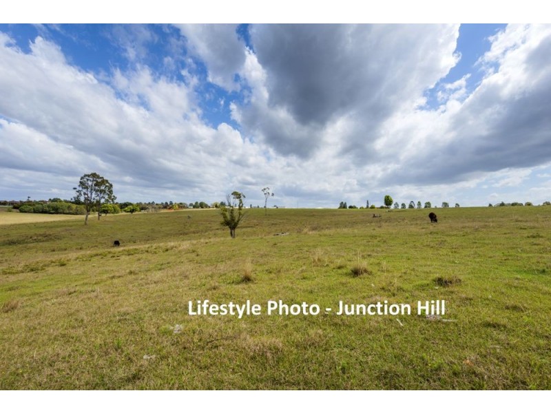 2/1 Martin Crescent, Junction Hill NSW 2460