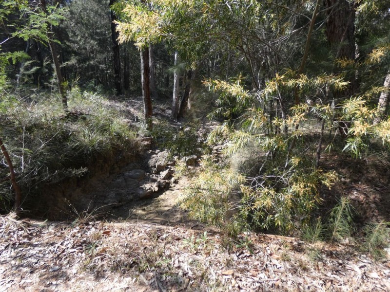Lot 30 Bald Knob Tick Gate Road, Halfway Creek NSW 2460