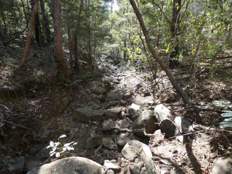 Lot 30 Bald Knob Tick Gate Road, Halfway Creek NSW 2460