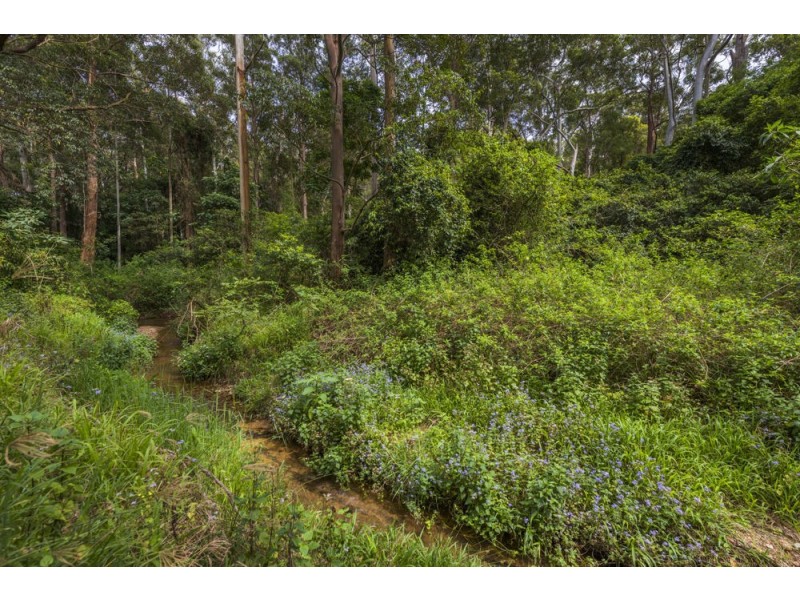 136 Holloways Road, Sandy Beach NSW 2456