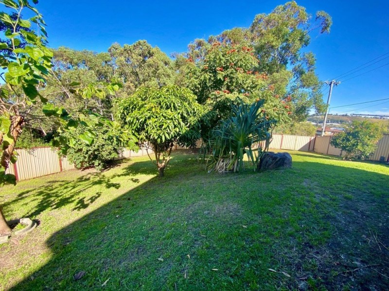 53 Nightingale Street, Woolgoolga NSW 2456