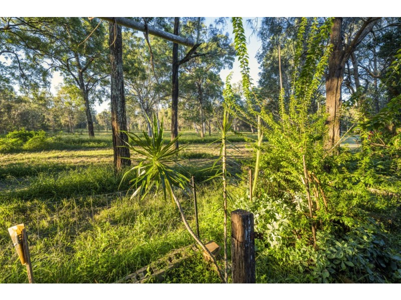 13 Pine Crescent, Sandy Beach NSW 2456