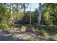 Lot 2 Gilmores Lane, Halfway Creek NSW 2460