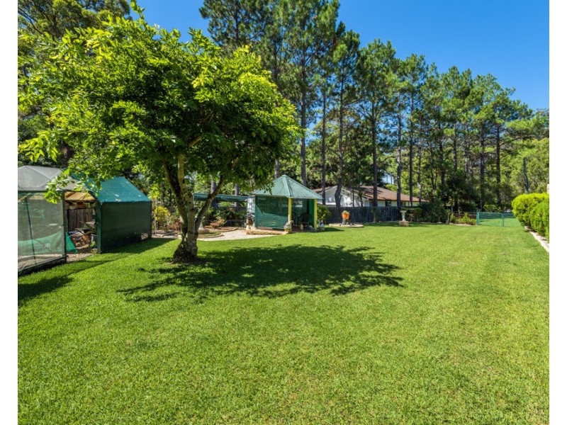 3 St Andrews Drive, Woolgoolga NSW 2456