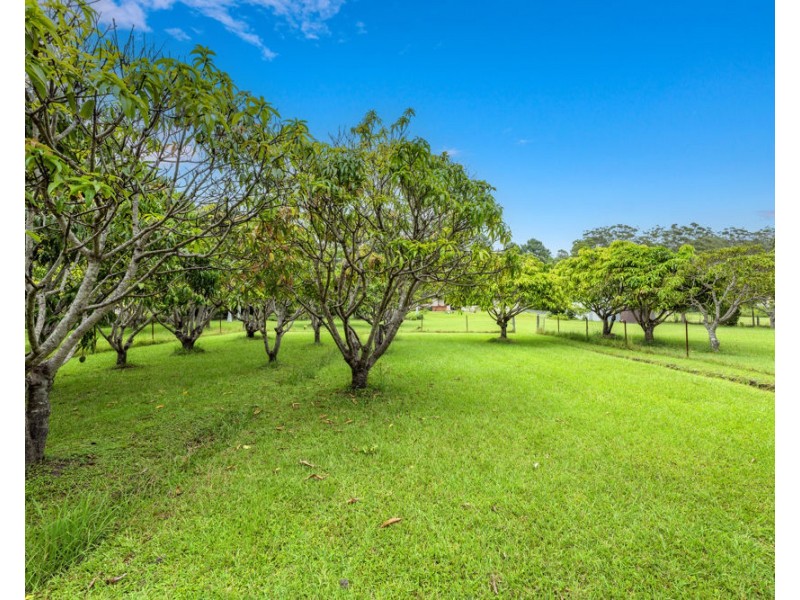 4 Poynten Drive, Emerald Beach NSW 2456