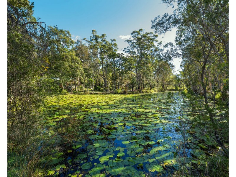 21 Magnolia Road, Darlington Beach, Arrawarra NSW 2456