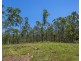 101/215 Skinners Road, Pillar Valley NSW 2462