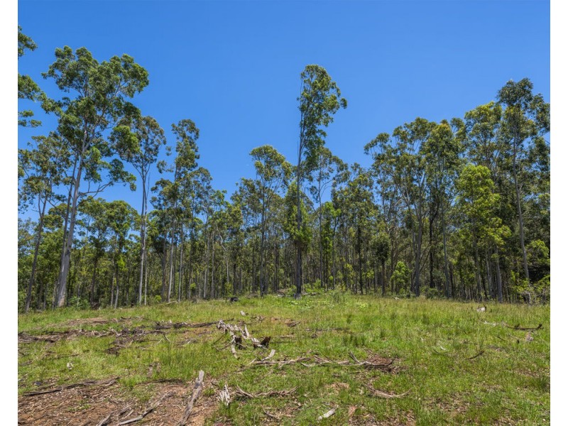 101/215 Skinners Road, Pillar Valley NSW 2462