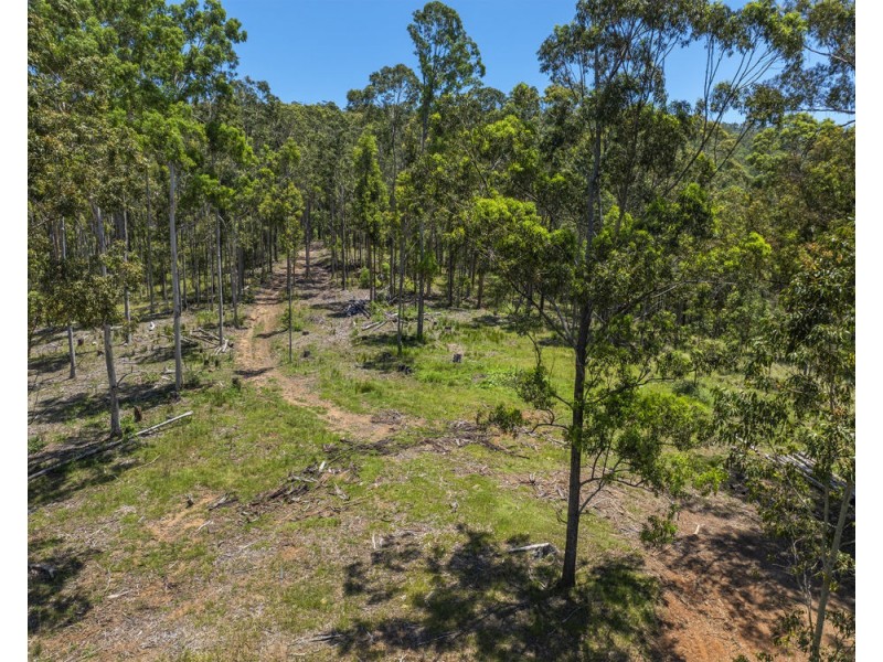 101/215 Skinners Road, Pillar Valley NSW 2462
