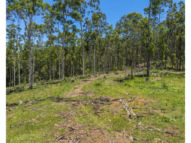 101/215 Skinners Road, Pillar Valley NSW 2462