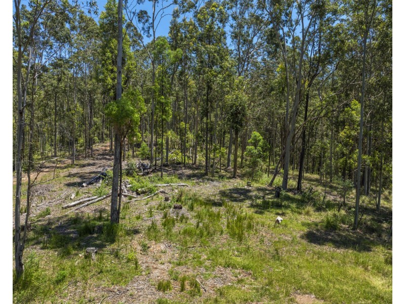101/215 Skinners Road, Pillar Valley NSW 2462