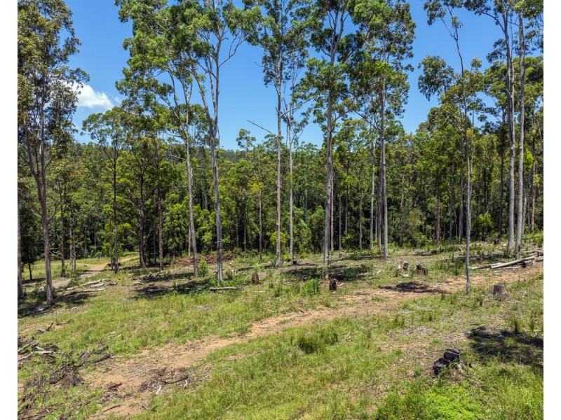 101/215 Skinners Road, Pillar Valley NSW 2462