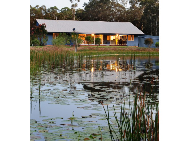 47 Palm Grove Place, Moonee Beach NSW 2450