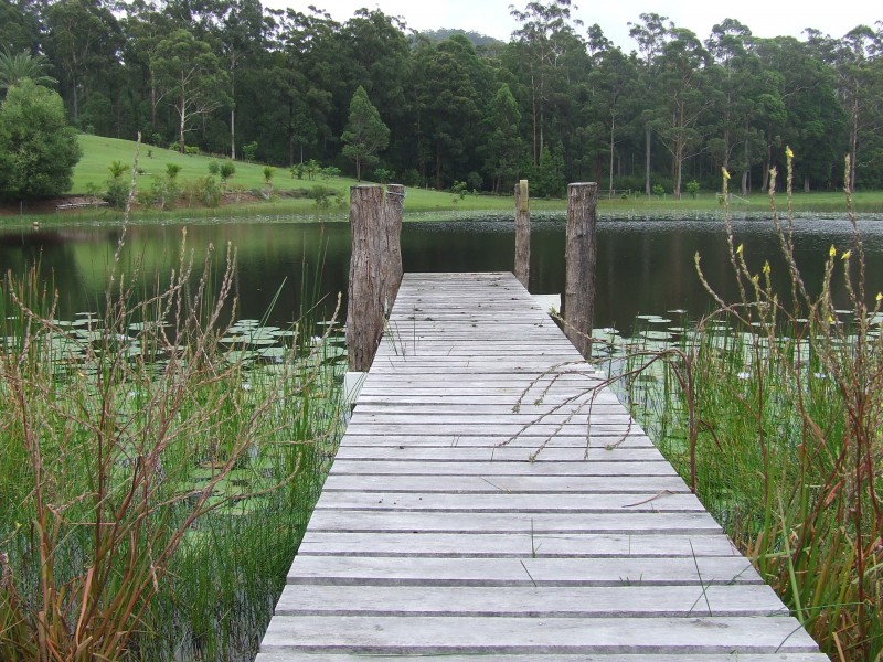 47 Palm Grove Place, Moonee Beach NSW 2450