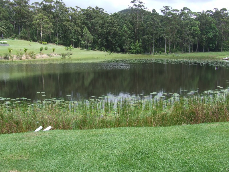 47 Palm Grove Place, Moonee Beach NSW 2450