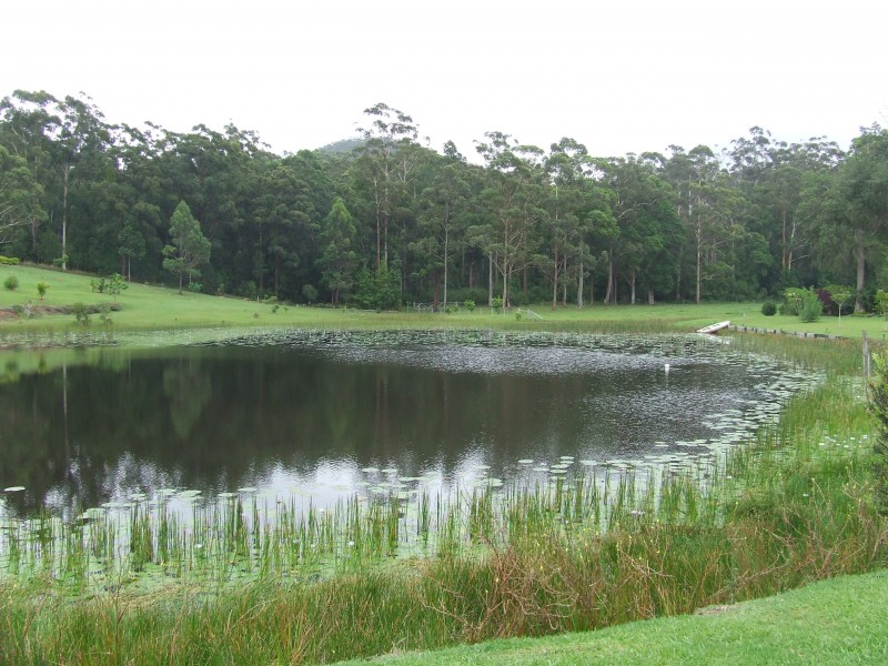 47 Palm Grove Place, Moonee Beach NSW 2450