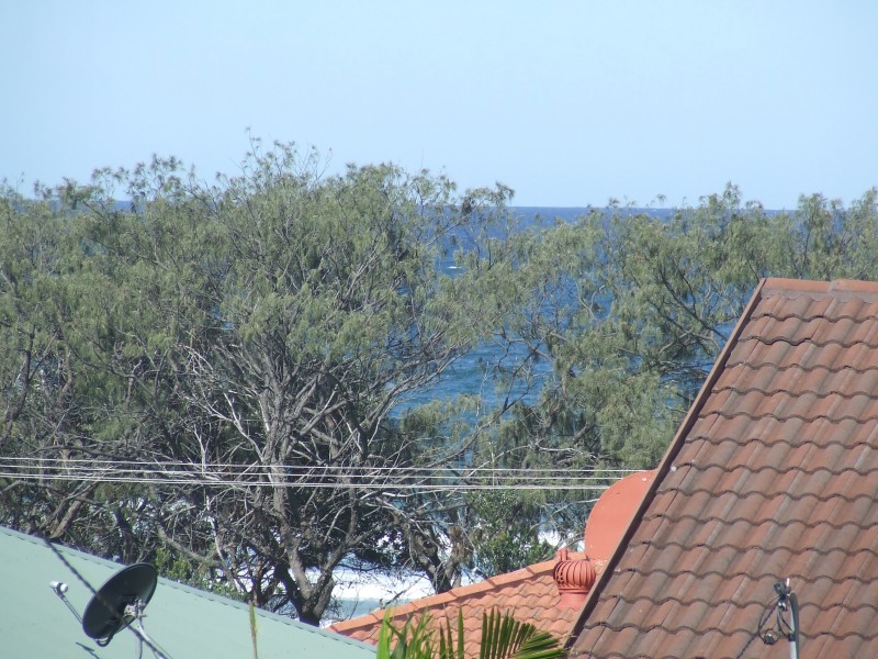 60 Bluegum Ave, Sandy Beach NSW 2456