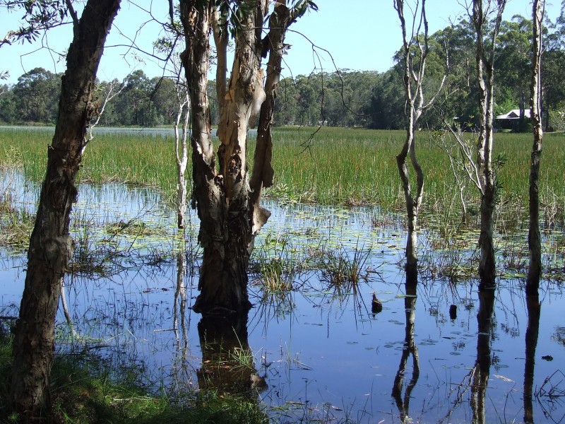Lot 25 Lake Russell Drive, Emerald Beach NSW 2456