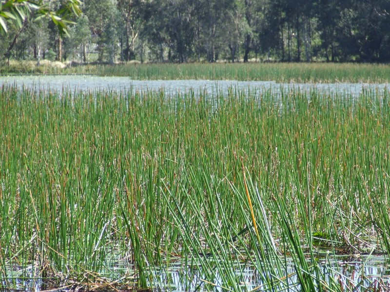 Lot 25 Lake Russell Drive, Emerald Beach NSW 2456