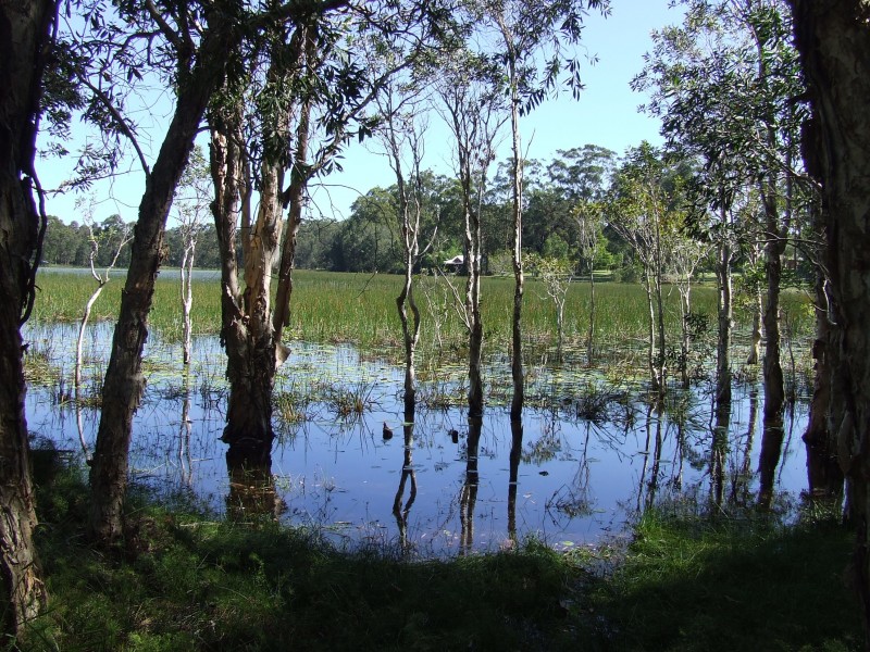 Lot 25 Lake Russell Drive, Emerald Beach NSW 2456