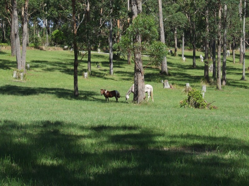 Lot 25 Lake Russell Drive, Emerald Beach NSW 2456
