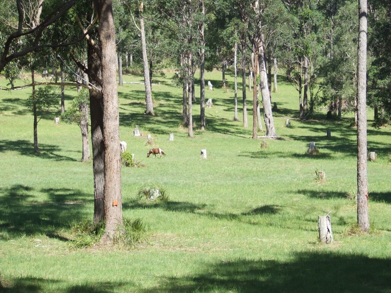 Lot 25 Lake Russell Drive, Emerald Beach NSW 2456