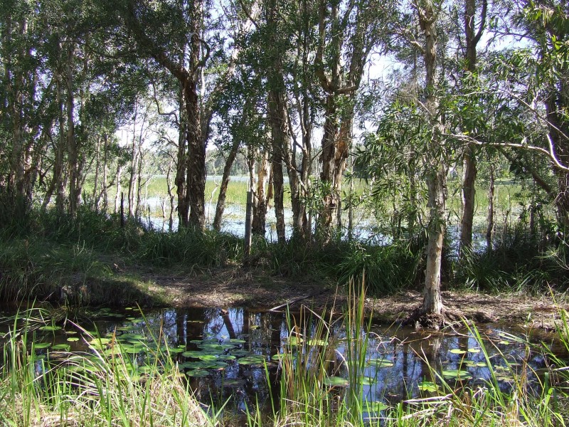 Lot 25 Lake Russell Drive, Emerald Beach NSW 2456