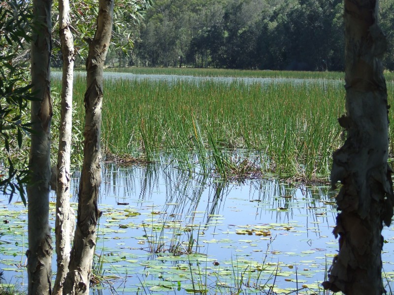 Lot 25 Lake Russell Drive, Emerald Beach NSW 2456